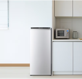 LG전자 ❭ 200L 1도어 냉동고 A202W