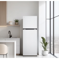 LG전자 ❭ 241L 2도어 일반냉장고 B245DS22