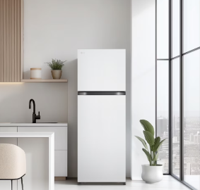 LG전자 ❭ 241L 2도어 일반냉장고 B245DS22