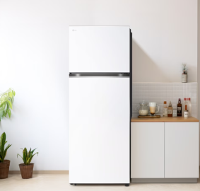 LG전자 ❭ 461L 2도어 일반냉장고 오브제컬렉션 D463MHH33