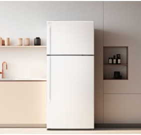 LG전자 ❭ 507L 2도어 일반냉장고 오브제컬렉션 D502MEE33