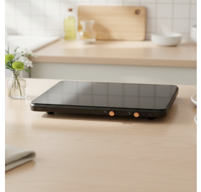 삼성전자 ❭ 2구 더 플레이트 인덕션 NZ62DG300CFK