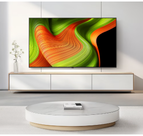 LG전자 ❭ 65인치 OLED TV OLED65B5F