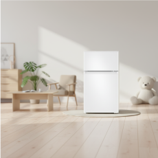 삼성전자 ❭ 82L 2도어 일반냉장고 RT09DG004WW