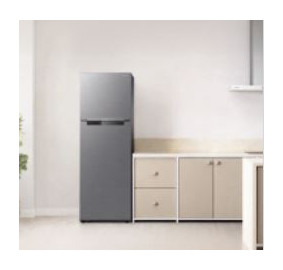 삼성전자 ❭ 255L 2도어 일반냉장고 RT25DARAHS9