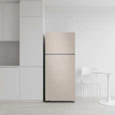 삼성전자 ❭ 525L 2도어 일반냉장고 RT53DB7A1CET