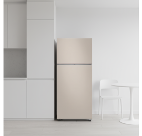 삼성전자 ❭ 525L 2도어 일반냉장고 RT53DB7A1CET