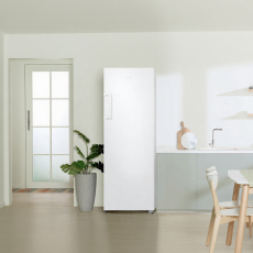 삼성전자 ❭ 277L 1도어 냉동고 RZ22CG4000WW