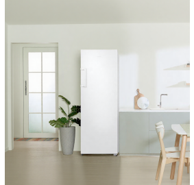 삼성전자 ❭ 277L 1도어 냉동고 RZ22CG4000WW