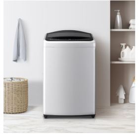 LG전자 ❭ 통돌이 일반 세탁기 17kg T17DX3A